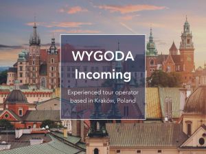 wygoda-incoming-about-us